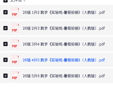 2026版 秋数学《实验班-暑假衔接》(人教版)1-6」PDF下载第2张