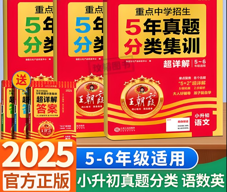 2025新版王朝霞小升初各地真题精编