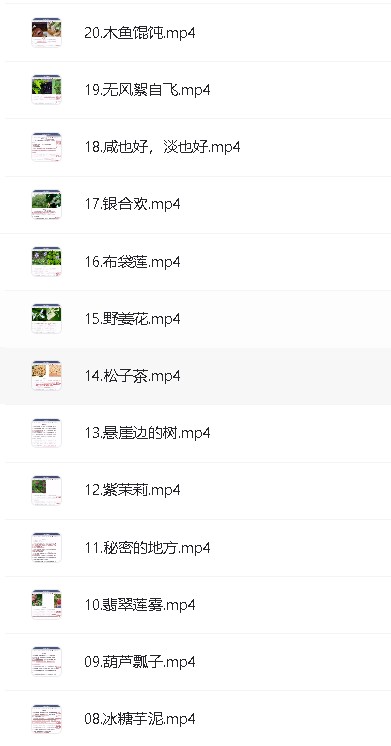 听糖豆丁立梅老师精讲散文合集全套网课视频第5张