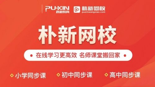 朴新网校【16讲完结】王塞【大师班】小学语文阅读提分班 百度网盘