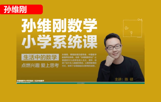 孙维刚小学计算能力提升课网课视频