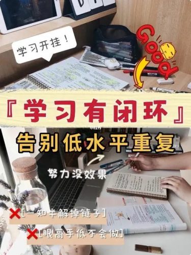 学习力闭环训练营-第1期视频下载第1张