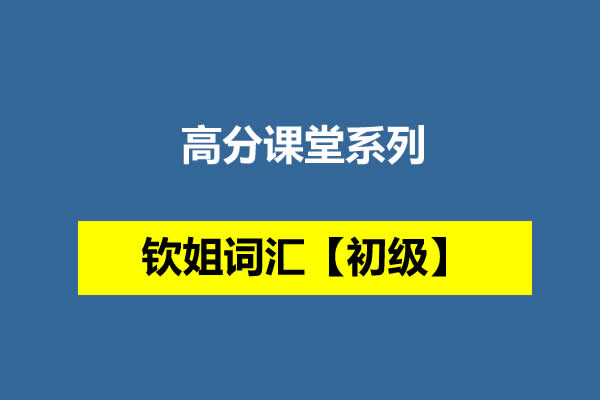 【高分课堂系列】钦姐词汇【初级】网课视频