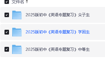 2025初中英语专题复习学困生+中等生+尖子生PDF下载第2张