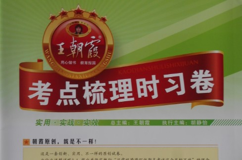 2024春王朝霞考点梳理时习卷（1-6下人教数学）