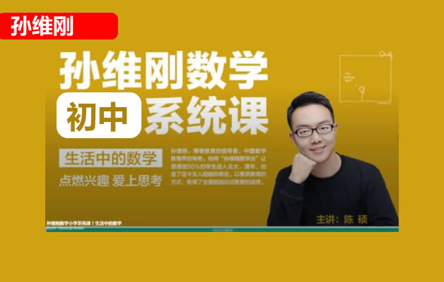 孙维刚初中数学系统课视频71课时全套下载