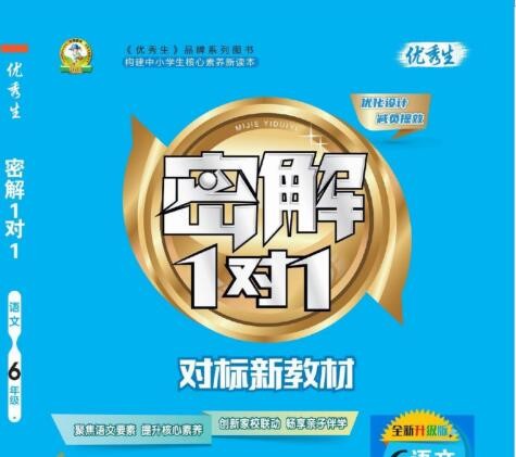 2023《密解1对1》新教材：六年级下册