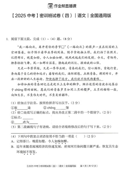 2025初三语文中考密训卷及答案PDF下载第2张