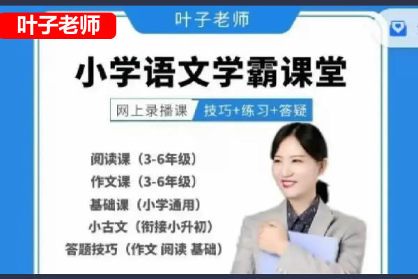 叶子老师小学语文三年级四年级五年级+阅读 511G知识合集视频