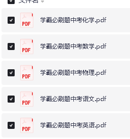 中考学霸必刷题语数英物化PDF下载第2张