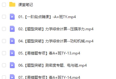 付雷中考物理网课2025春季下-春季班A+ 网课视频