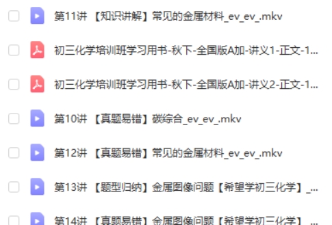 2024陈谭飞初中初三化学秋季下A+网课视频