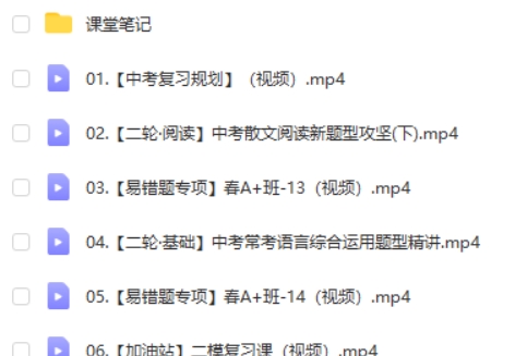 2024杨荷初三中考语文视频课程 A+春季班