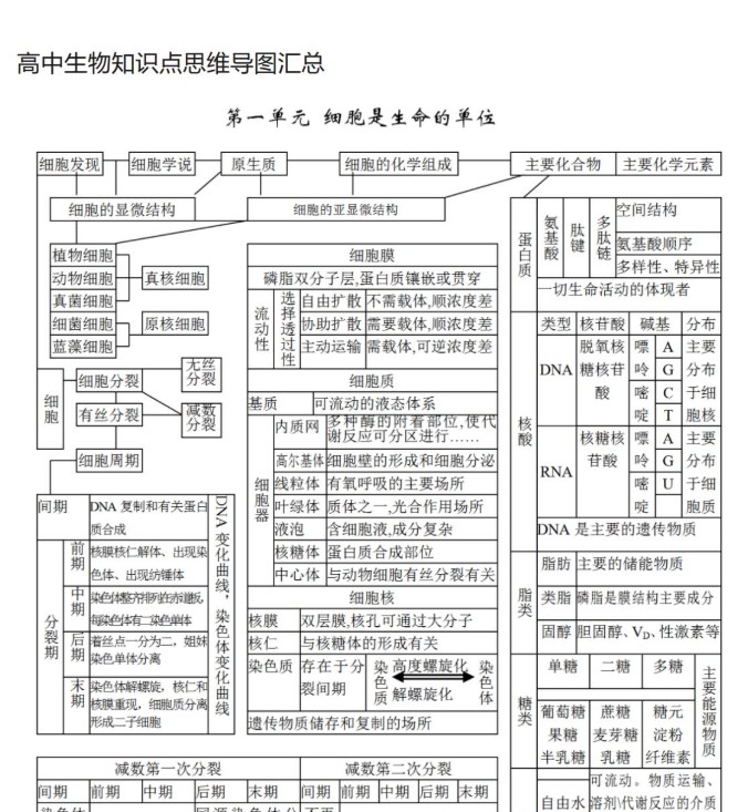 高中思维导图|新高考下的高中9科思维导图高中三年都适用第3张
