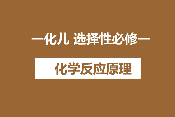 一化儿 选择性必修一 化学反应原理 网课视频