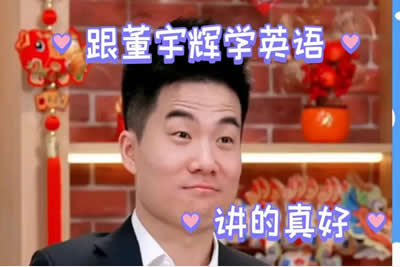董宇辉高中高考英语（春季班网课视频）(目标985)