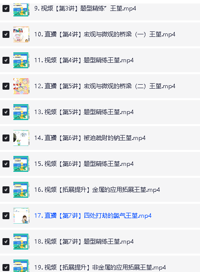 2024王瑾高一化学全年秋寒暑A+网课视频全套第7张