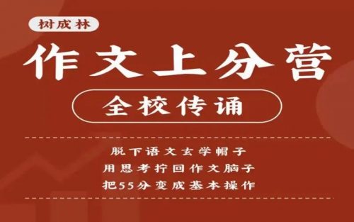 【树成林】2024高三高考作文上分训练营2.0