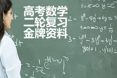 2024年高中高考数学二轮复习金牌资料
