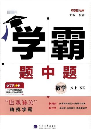 2024秋+2025春《学霸题中题》苏科版+北师版电子版下载
