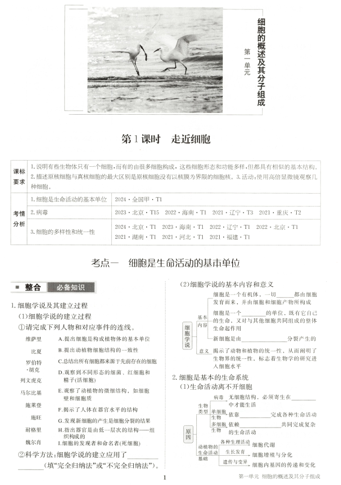2026步步高大一轮复习讲义 生物 人教版