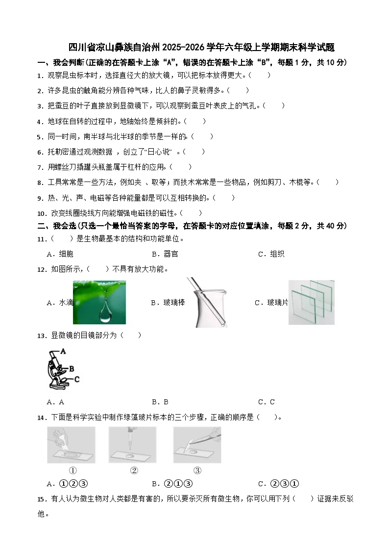 四川省凉山彝族自治州2025-2026学年六年级上学期期末科学试题（含解析）