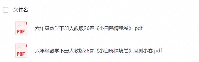 六年级数学下册人教版26春《小白鸥情境卷》