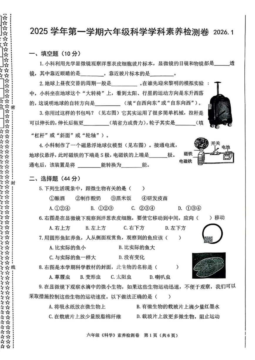 2025-2026学年浙江省嘉兴市桐乡市六年级上学期期末科学试题（无答案）